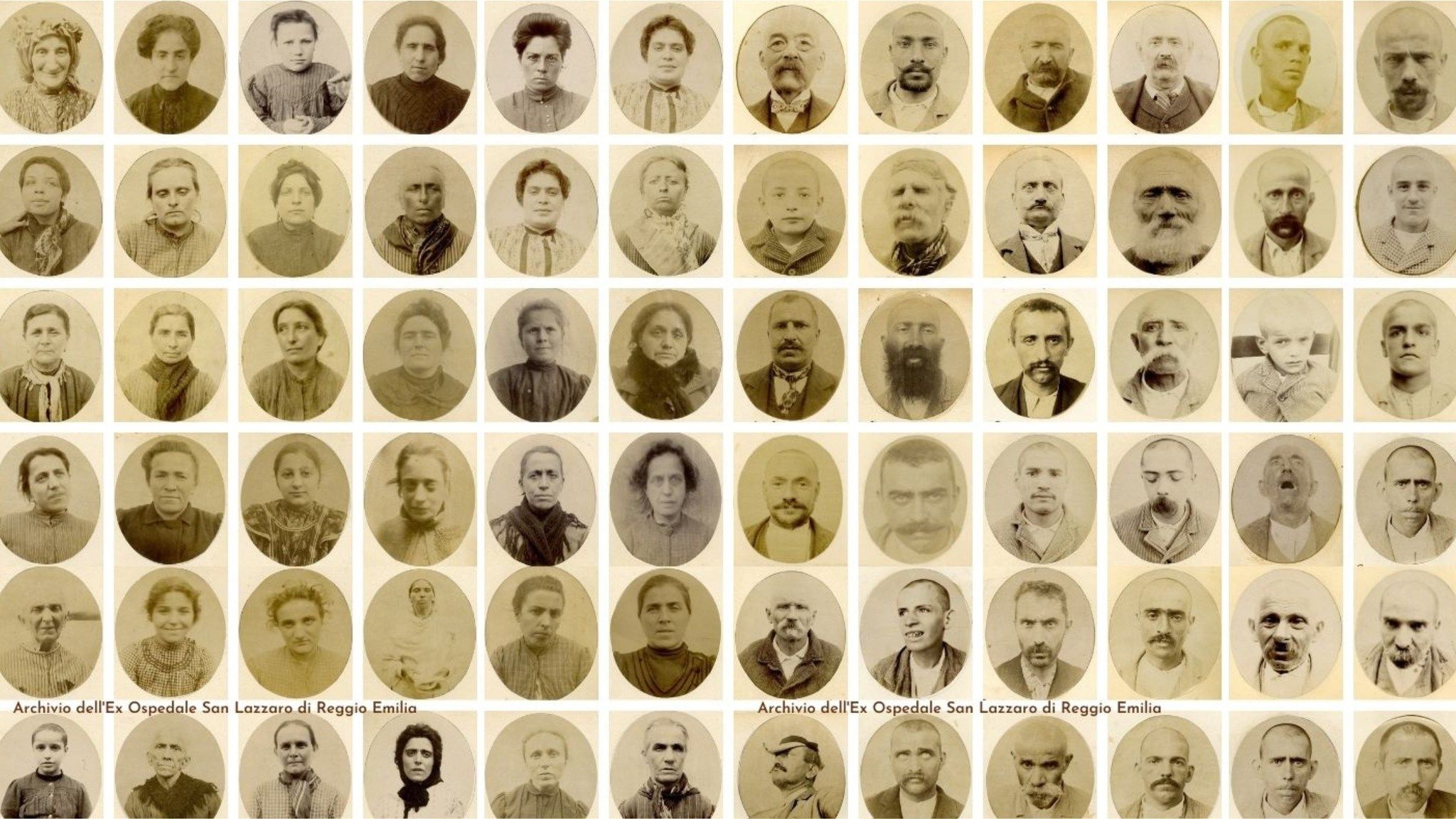 "Carlo Livi", una biblioteca specializzata in discipline della mente