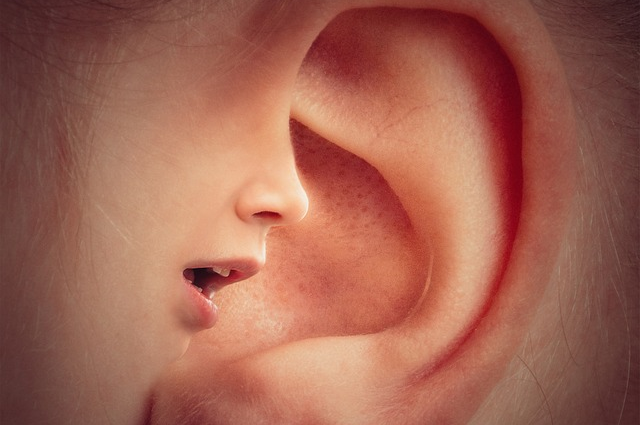 Che cosa significa sentire le voci?