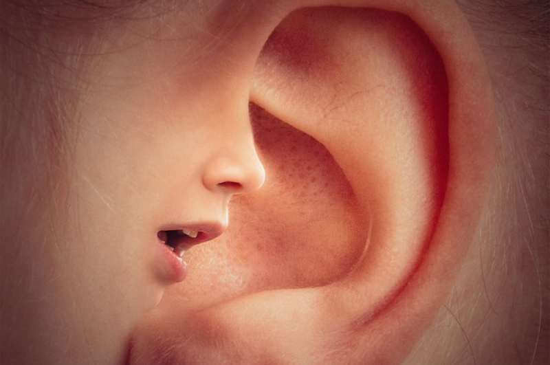 Che cosa significa sentire le voci?